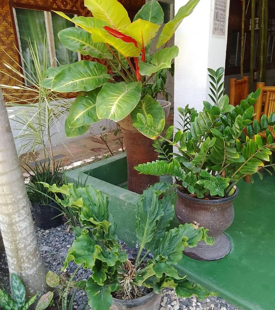 Mischa'S Hostel Dauis Philippines